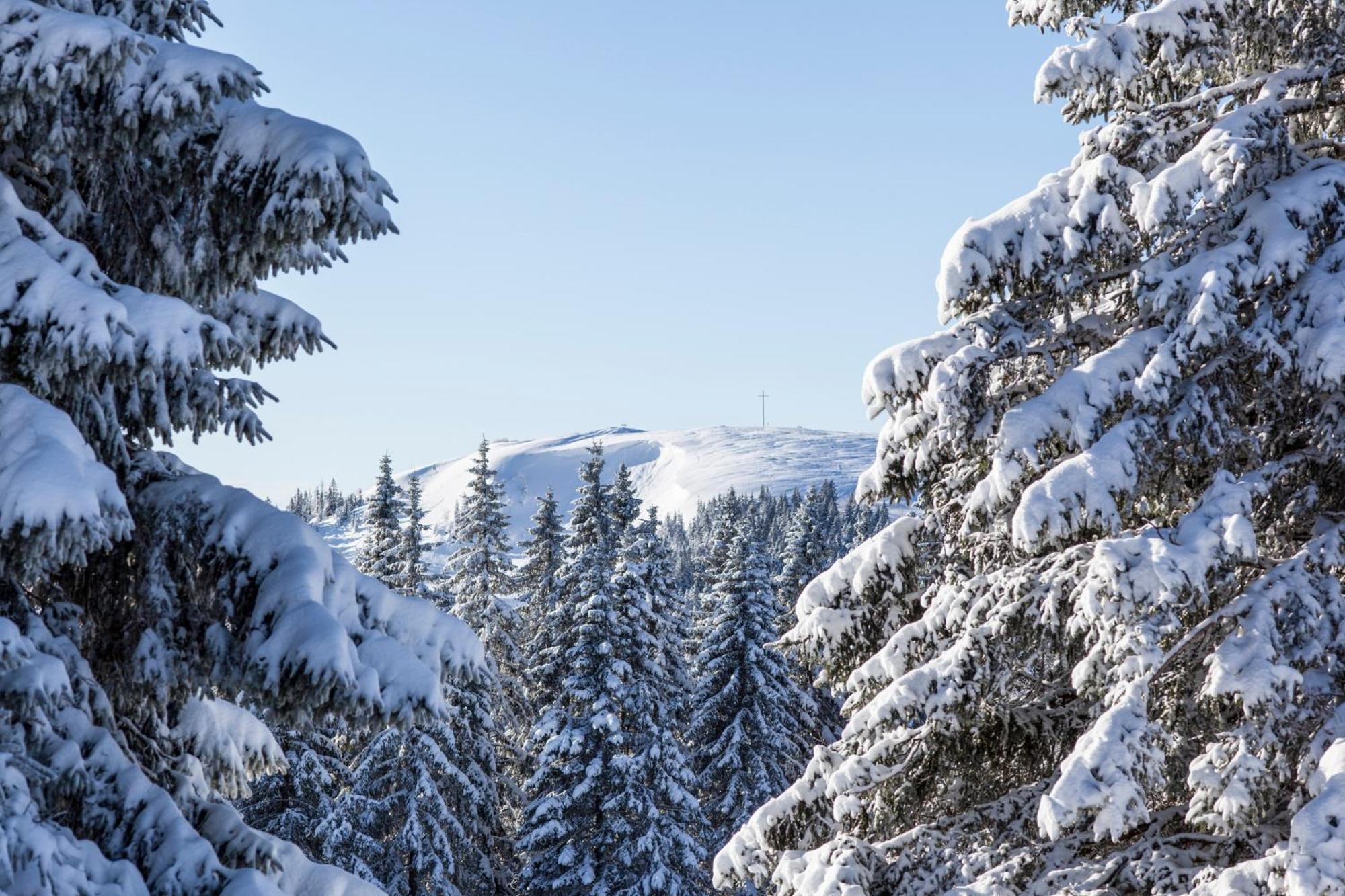 Ferienwohnung Seeblick Nr 5, 2 Zi-Baerental, Feldberg Rotwasser Buitenkant foto