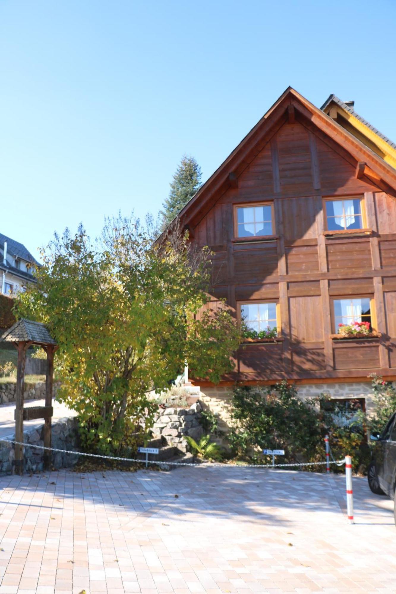 Ferienwohnung Seeblick Nr 5, 2 Zi-Baerental, Feldberg Rotwasser Buitenkant foto